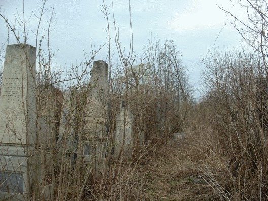 der jüdische Friedhof